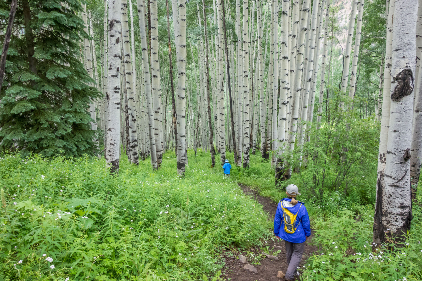 American Lake Trail